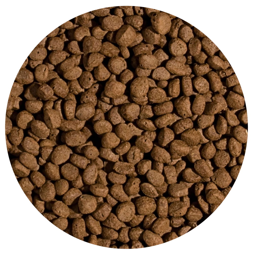 Koi Wheat Germ&Garlic Pellet m..jpg